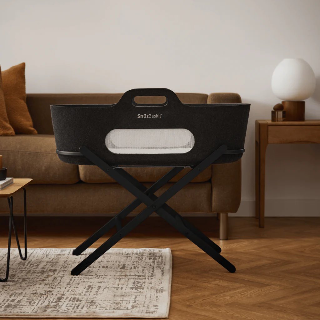 SnüzBaskit Graphite Moseskorb & Graphite Ständer Set