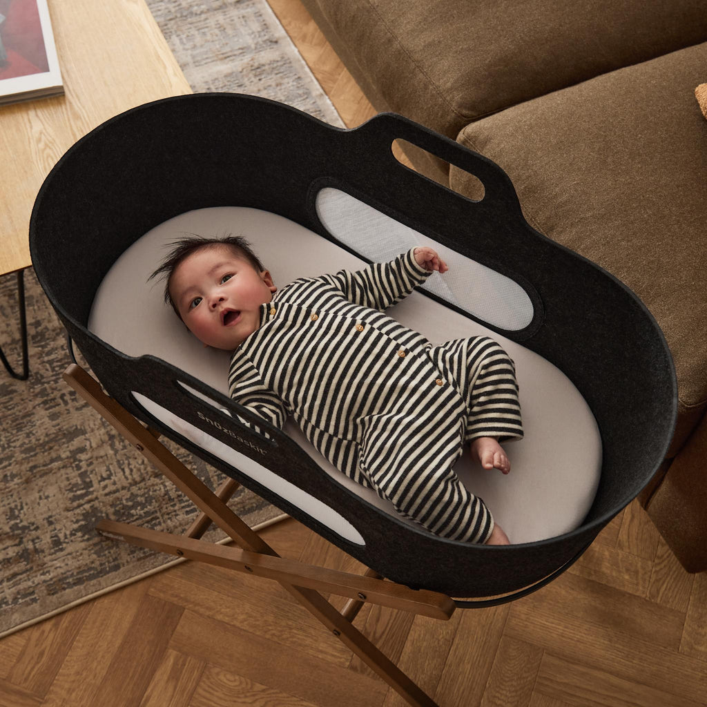 SnüzBaskit Graphite Moseskorb & Walnut Ständer Set