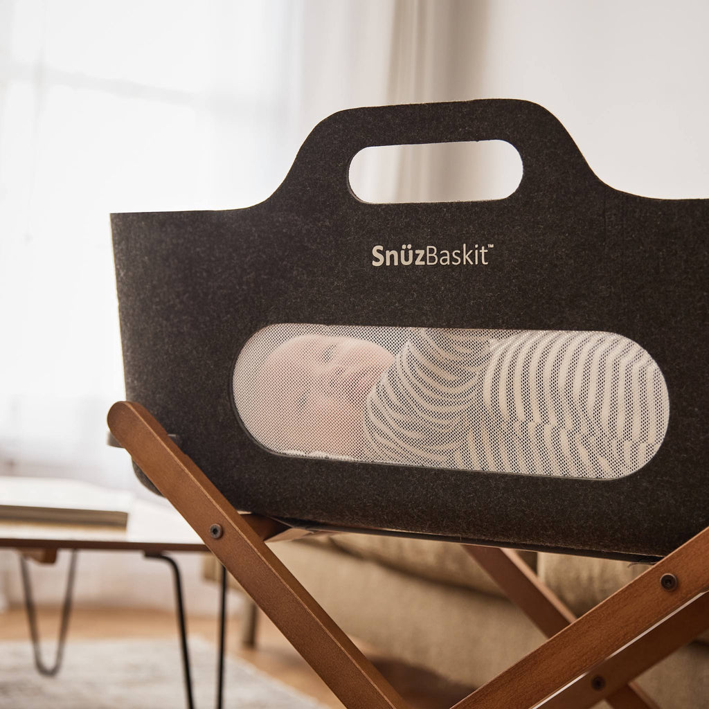 SnüzBaskit Graphite Moseskorb & Walnut Ständer Set