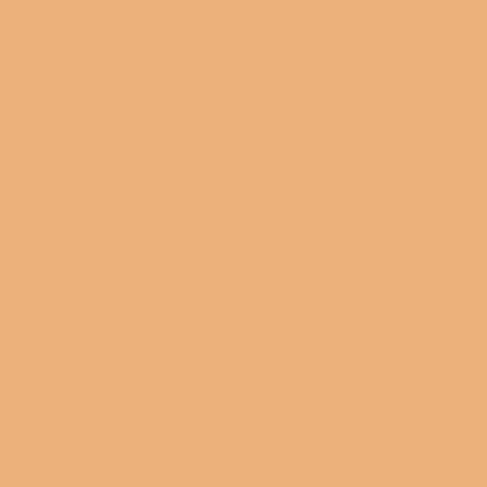 SnuzPod5 Natural swatch